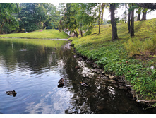 IMG 20230913 153914.jpg