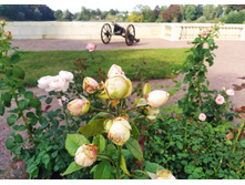 IMG 20230913 142301.jpg