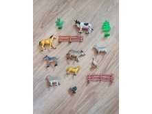 ����� �������� ��������