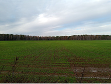 20231022 ��-��������-�������-�������� 142420.jpg