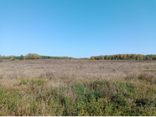 20230923 ������-200 �������� 121449.jpg