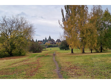 IMG 20231012 151115.jpg