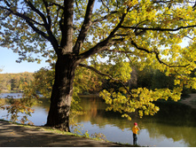 IMG 20230924 144150.jpg