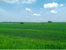 20230527 ������-400 �����������-2023 145708.jpg