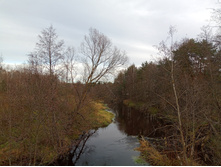 20231022 ��-��������-�������-�������� 141757.jpg