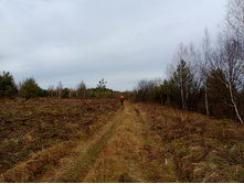 20231022 ��-��������-�������-�������� 114728.jpg