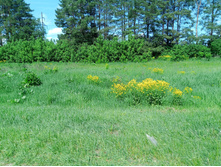 20230527 ������-400 �����������-2023 110450.jpg