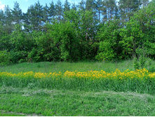 20230527 ������-400 �����������-2023 142457.jpg