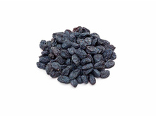 ���� ����� ������