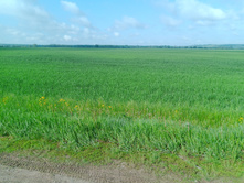 20230527 ������-400 �����������-2023 081131.jpg