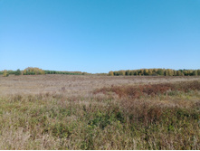 20230923 ������-200 �������� 121446.jpg