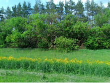 20230527 ������-400 �����������-2023 142502.jpg