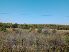 20230923 ������-200 �������� 094510.jpg