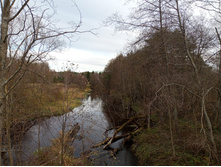 20231022 ��-��������-�������-�������� 141733.jpg