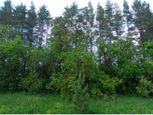 20230527 ������-400 �����������-2023 142114.jpg