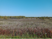 20230923 ������-200 �������� 103427.jpg