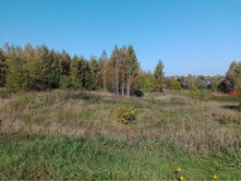 20230923 ������-200 �������� 095916.jpg