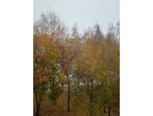 17 ������� 2023