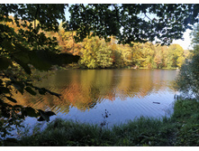 IMG 20230924 142713.jpg