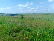 20230527 ������-400 �����������-2023 092746.jpg