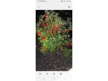 ���� ������� � ����