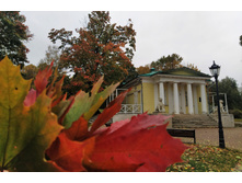 IMG 20231012 130649.jpg