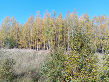 20230923 ������-200 �������� 110640.jpg