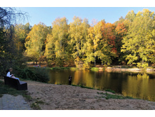 IMG 20230924 145909.jpg