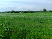 20230527 ������-400 �����������-2023 152346.jpg