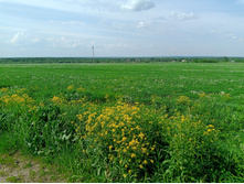 20230527 ������-400 �����������-2023 152134.jpg