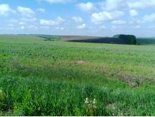 20230527 ������-400 �����������-2023 092429.jpg