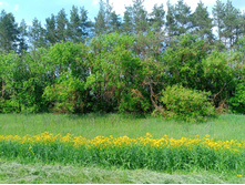 20230527 ������-400 �����������-2023 142503.jpg