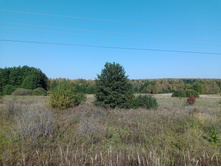 20230923 ������-200 �������� 094518.jpg