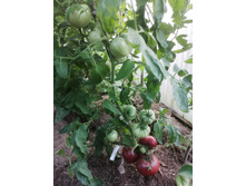 ����������