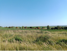 20230923 ������-200 �������� 130326.jpg