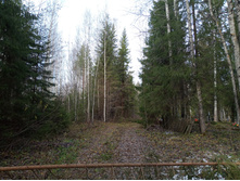 20231022 ��-��������-�������-�������� 120919.jpg