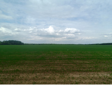 20230513 ������-300 ����� ���������� 125200.jpg