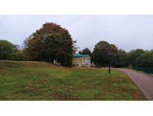 IMG 20231012 130810.jpg