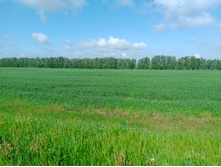 20230527 ������-400 �����������-2023 084020.jpg