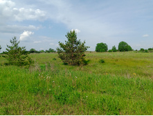 20230527 ������-400 �����������-2023 143951.jpg