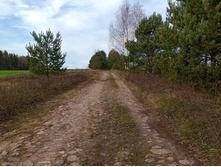 20231022 ��-��������-�������-�������� 131748.jpg