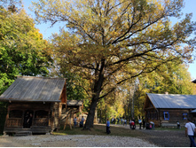 IMG 20230924 153455.jpg