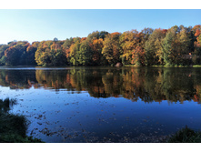 IMG 20230924 142228.jpg