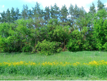 20230527 ������-400 �����������-2023 142501.jpg