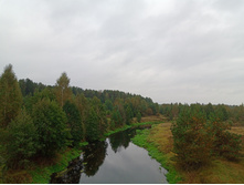 20230909 ������-300 ���������� 121830.jpg