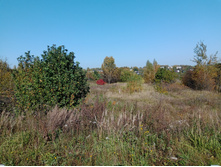 20230923 ������-200 �������� 095910.jpg