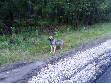 20230909 ������-300 ���������� 163413.jpg