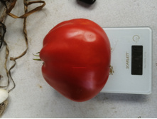 �������� �������