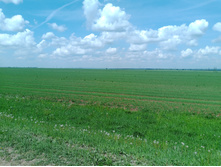 20230527 ������-400 �����������-2023 114313.jpg