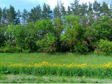 20230527 ������-400 �����������-2023 142504.jpg